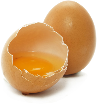 about-eggs