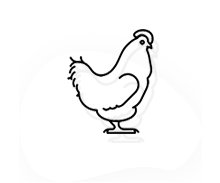 hens